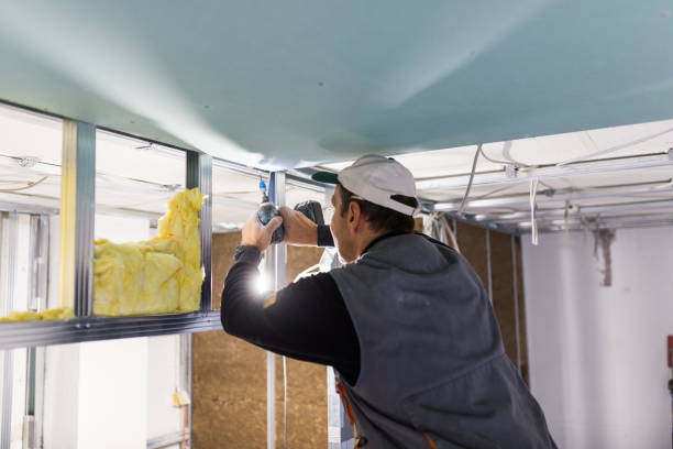 Best Insulation Installation Services in Brooklyn, WI