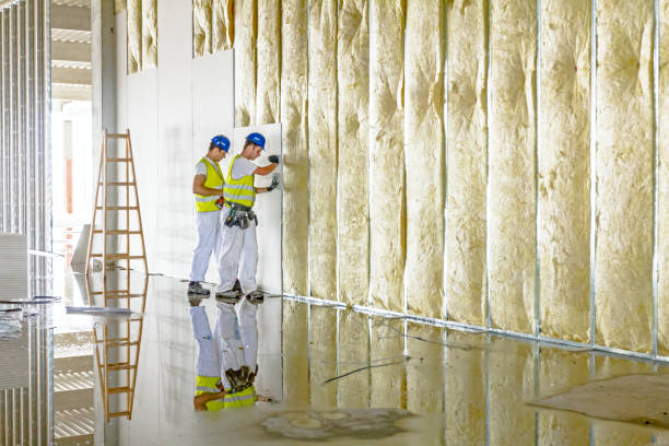 Best Insulation Maintenance and Repair in Brooklyn, WI